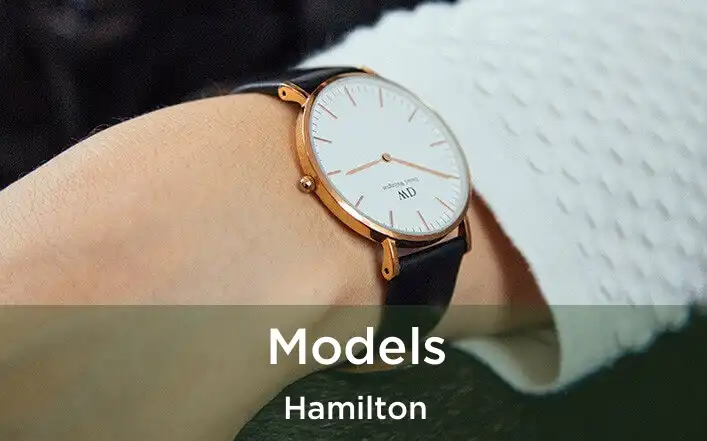  Models Hamilton