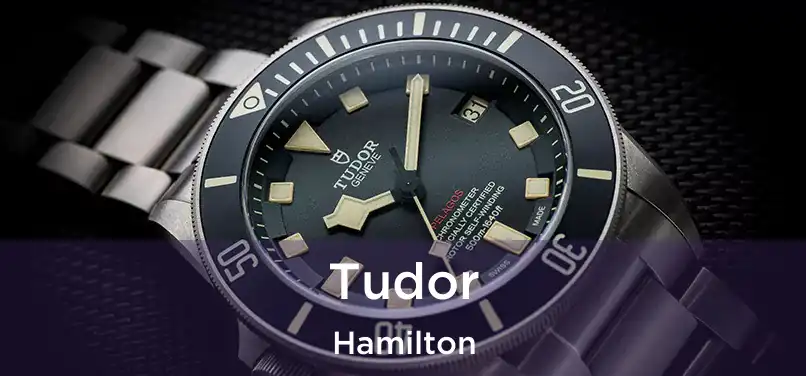  Tudor Hamilton